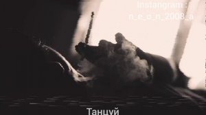 танцуй пока пьяная моя ты так любишь без вина ты хотела быть сомной но ты мне не нужна