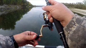 Щука поздней осенью. Ноябрь. Сейм 2019/ Поклевки в кадре