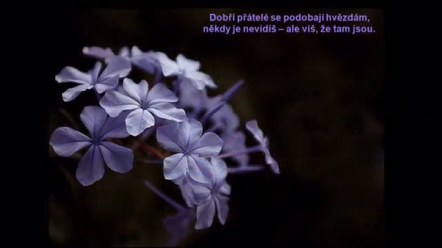 PF 2009 смотреть онлайн