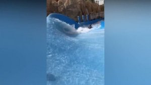 Wild Wadi Water Park Dubai | World's Best Water Slides