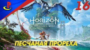 Horizon Forbidden West / Запретный запад / прохождение / PS5 / 16 часть / Песчаная прореха