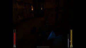 Обзор игры: Rune (Руна)