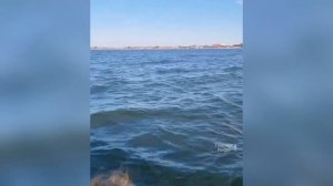 Катамаран с туристами затонул в Азовском море