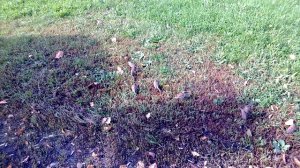 WP_20130927_002[1]