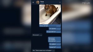 Реакция родителей на Шлёпу (Большой русский кот)