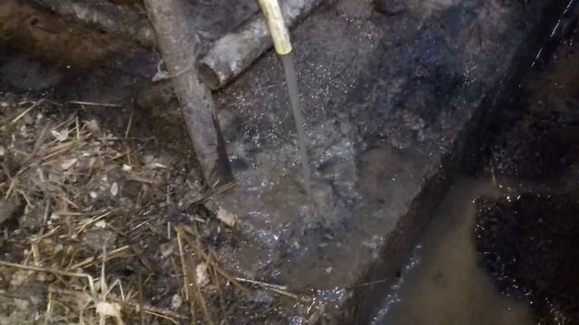 Чипе в свинарнике, свиньи остались без воды. Стартовый корм для поросят своими руками. смотреть онлайн