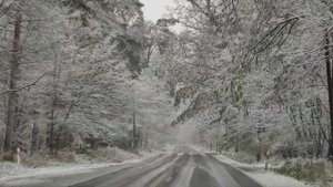 First snow 2023 near Łódź. Chris Rea - Looking for the Summer