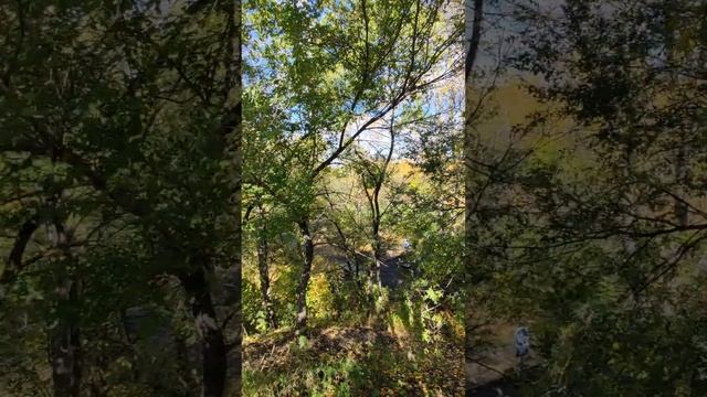 03.10.2023 Сборник Улицы города Комсомольск-на-Амуре (2) смотреть онлайн