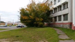 Обзор квадрокоптера MJX X401H