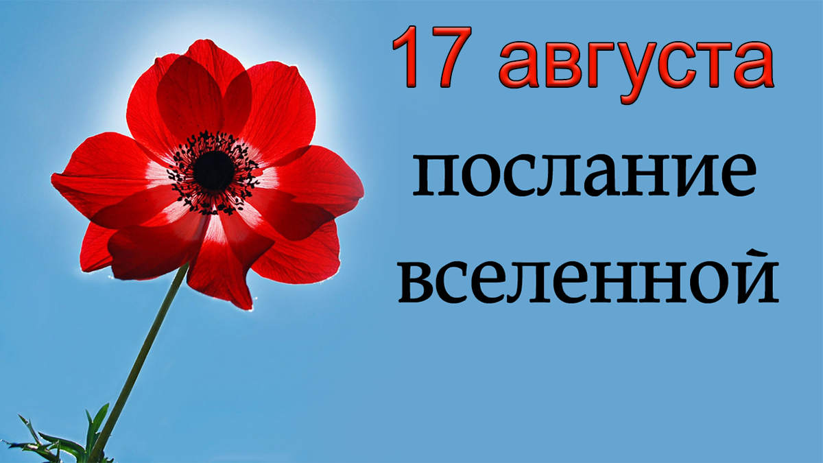 ПОСЛАНИЕ ВСЕЛЕННОЙ на 17 августа. *Эзотерика Для Тебя*