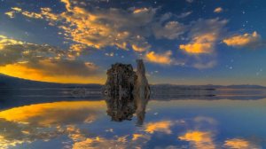 Вильгельм Фридеман Бах | Симфония Ре Минор