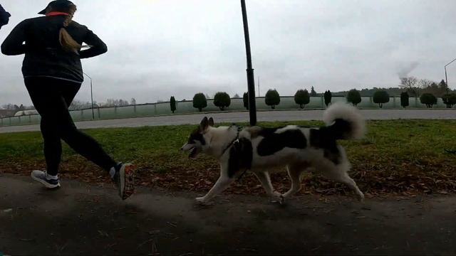 Run4Fun - лесопарк Пышки - Полумарафон - 28 11 2021г. смотреть онлайн