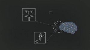 "Как стресс влияет на ваш мозг" - TEDEd