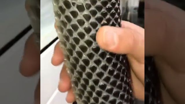 Змея сбрасывает кожу?? смотреть онлайн