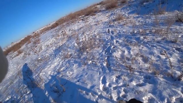 Солнце, мороз хорошая охота на зайца сезон 2021-2022 №114. смотреть онлайн