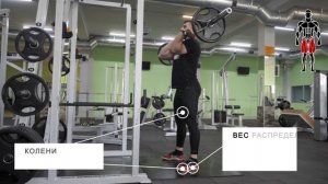 Приседания фронтальные