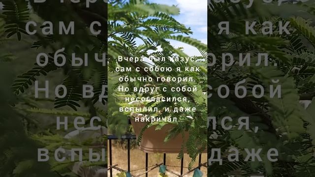 Стишки пирожки из просторов интернета