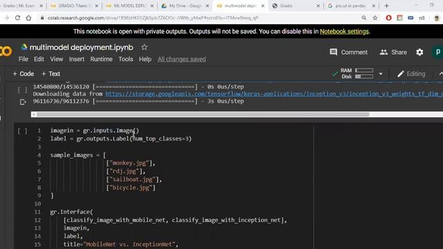 MULTIPLE IMAGE CLASSIFIERS DEPLOYMENT смотреть онлайн