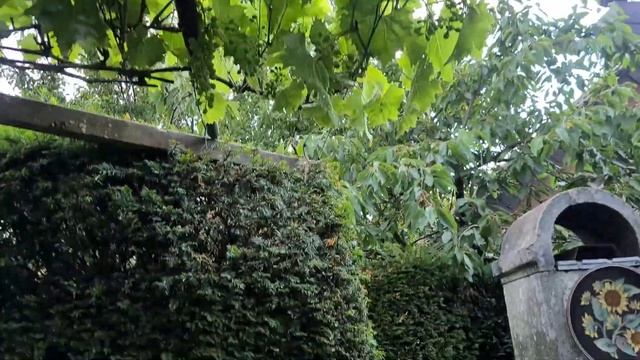 Моя немецкая дача. Mein Garten. смотреть онлайн