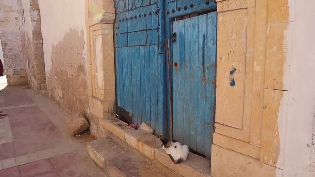 Visiting KAIROUAN, TUNISIA'S Holy Islamic City 🇹🇳 القيروان смотреть онлайн