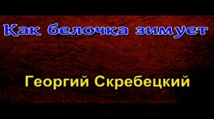 Как белочка зимует— Георгий Скребецкий  —читает Павел Беседин