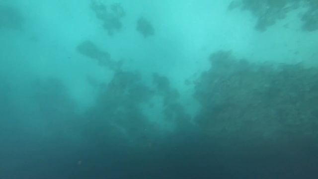 Шарм Эль Шейх март 2023 смотреть онлайн