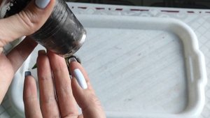 КАК ПРАВИЛЬНО пересадить БУГЕНВИЛЛИЮ #бугенвиллия #bougainvillea