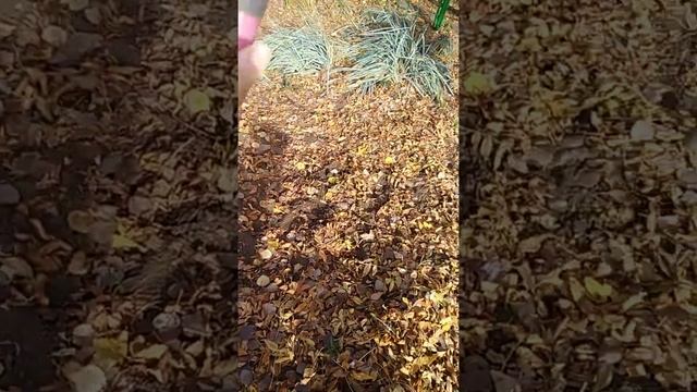 грабли  супер. смотреть онлайн