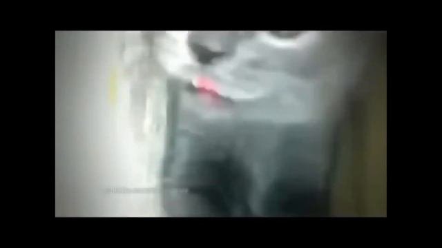 Самый короткий скример