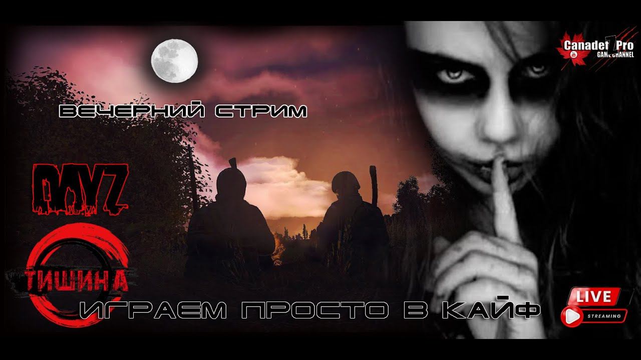 DayZ: Проект ТИШИНА ч. 5 (Вечерний стрим)