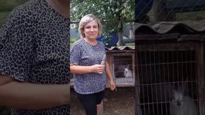 Взвешивание индюков Хайбрид конвертер в 2 месяца, вокцинация крольчат.