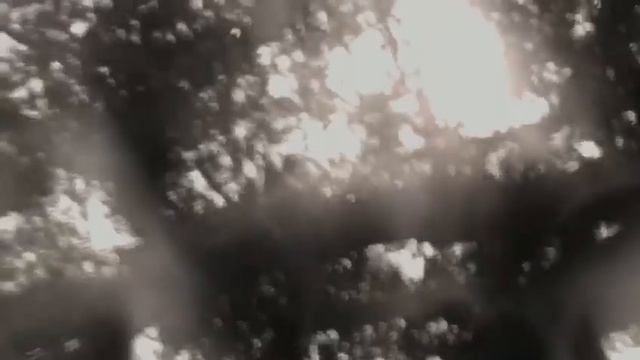 OFF ROAD смотреть онлайн