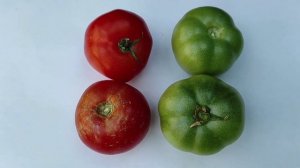 с плодоножкой или без