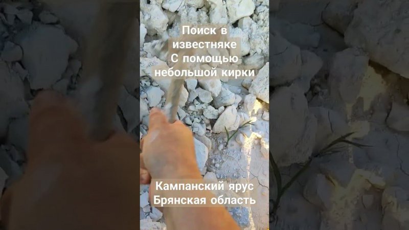 Поиск окаменелостей в известняке  с помощью кирки