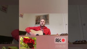 "Тополя, тополя все в пуху " дворовая песня под гитару.