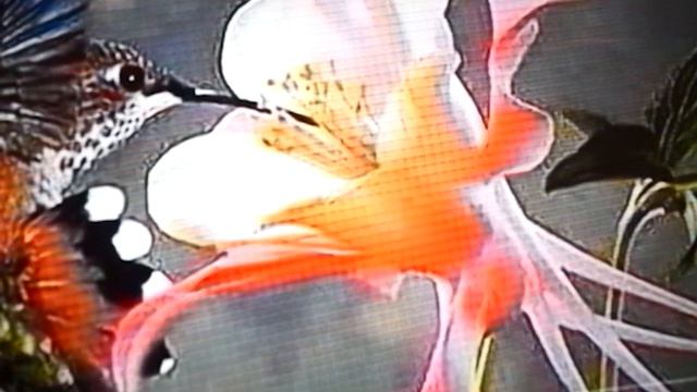 Как происходит развитие личности.30.07.2023.Котяков.С. смотреть онлайн