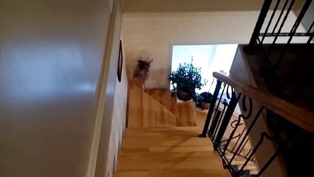 Срочно продам очень теплый и уютный дом 83м2 в Подстепках на улице Дачная. смотреть онлайн