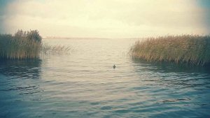 Кто такой гражданин?