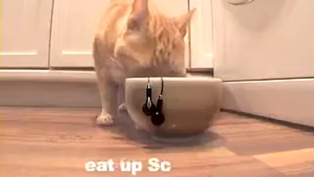 Как распутать наушники с помощью котэ смотреть онлайн