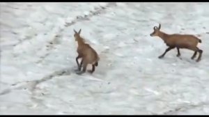 Россия от края до края  Большой Кавказ