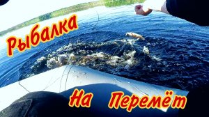 Рыбалка на перемёт... Удачный выезд на глухое озеро