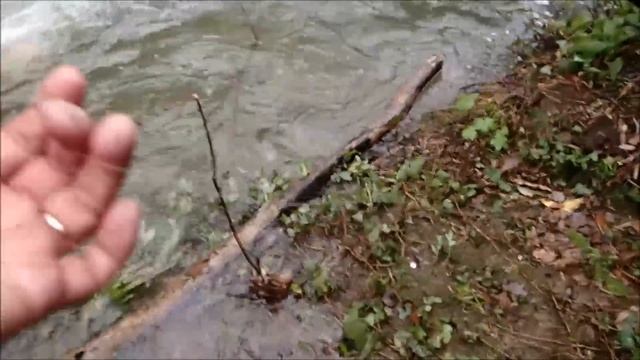 pilou34 présente sortie pêche du 9 avril 2018 avec Johan смотреть онлайн