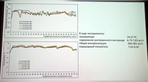 Моделирование интенсификации запуска систем биологической очистки в экспериментальных установках