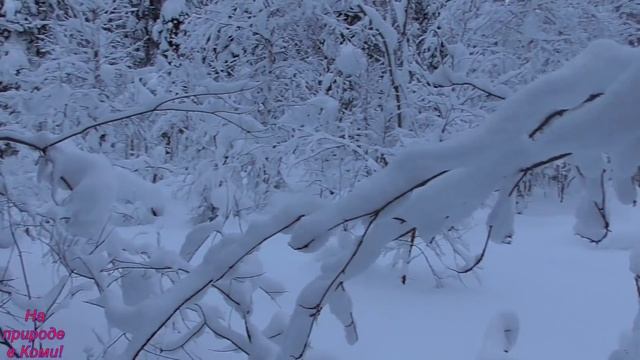 Поход на буране, ловля ельца, отличный клёв (1часть) смотреть онлайн