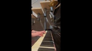 50. Nessi - В.А.Моцарт "Маленькая ночная серенада"