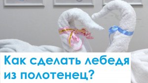 Как сделать Лебедя из махровых полотенец для гостиниц?