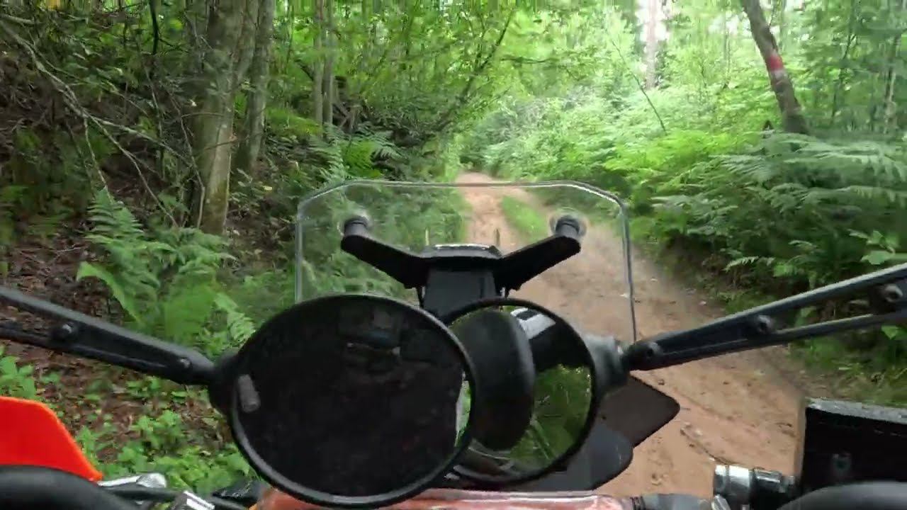 #65-17 Сосново 90,4 км | KTM 390 Adventure SW | KTM 390 Adventure | KTM 250 Adventure
