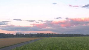 CLS 63 AMG 611 hp | V8 SOUND