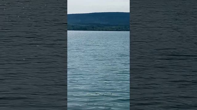 Прикормочный кораблик на Lora модулях и стоковых антеннах стабильная связь 600-650 метров смотреть онлайн