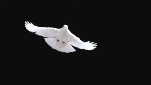 Актерское мастерство использование спецэффектов в спектакле смотреть онлайн